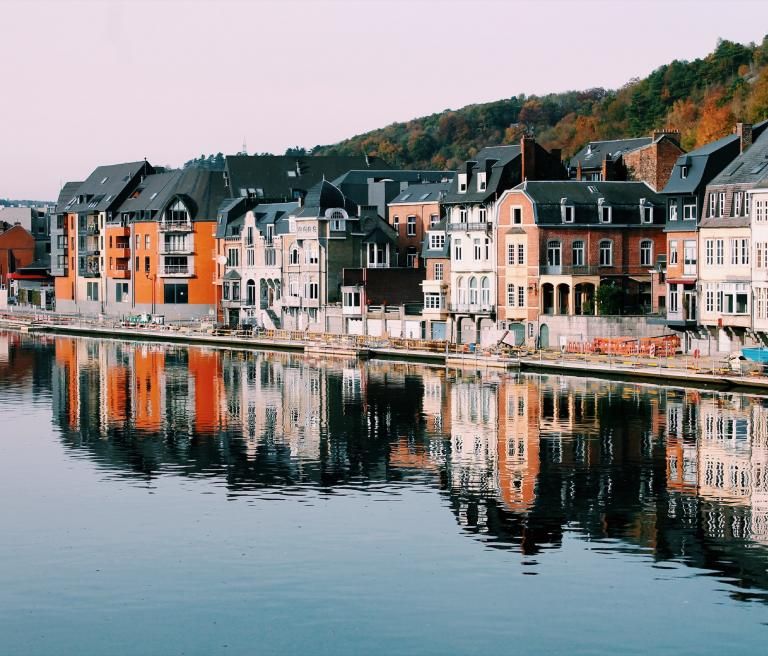 Zambon in België