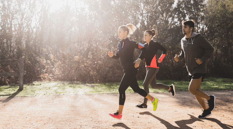 Les activités du Benvivere