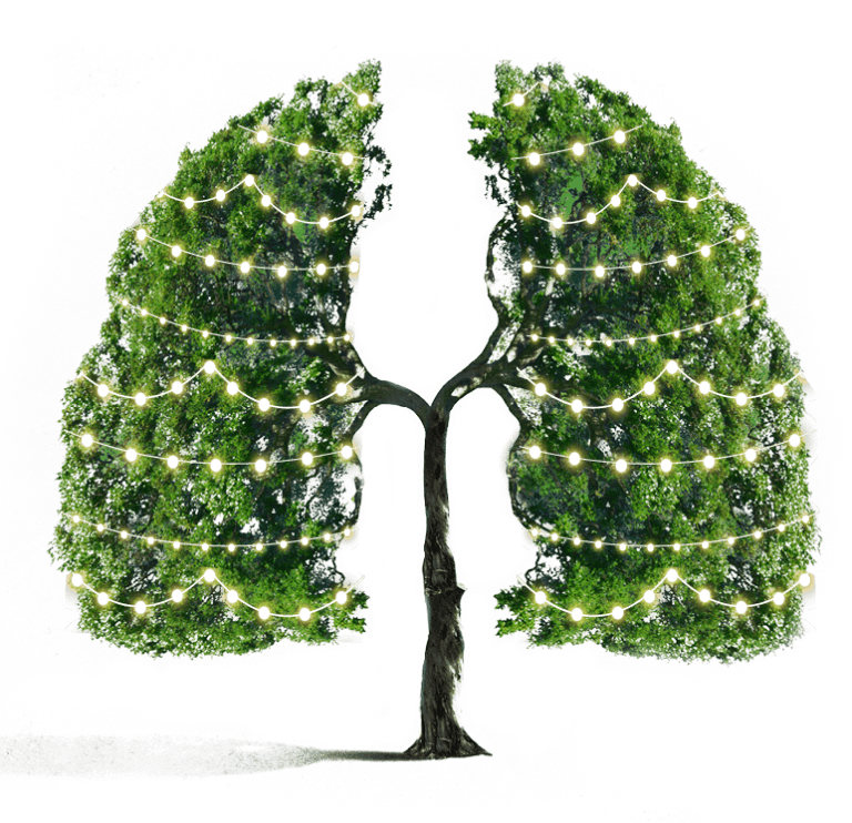 treewithlights
